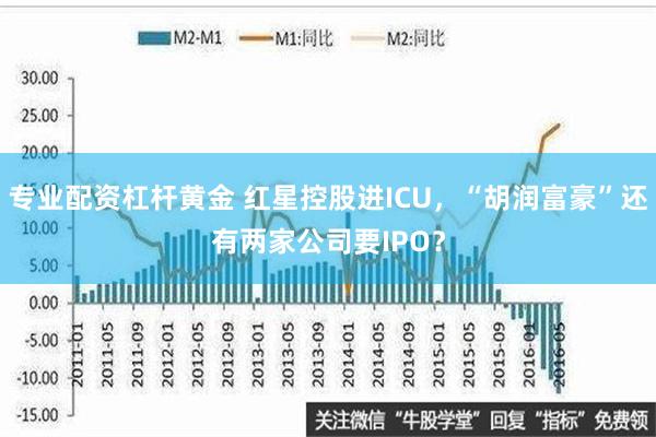 专业配资杠杆黄金 红星控股进ICU，“胡润富豪”还有两家公司要IPO？