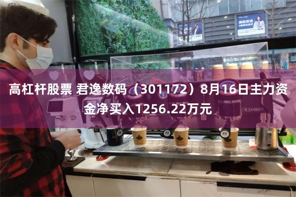 高杠杆股票 君逸数码（301172）8月16日主力资金净买入1256.22万元