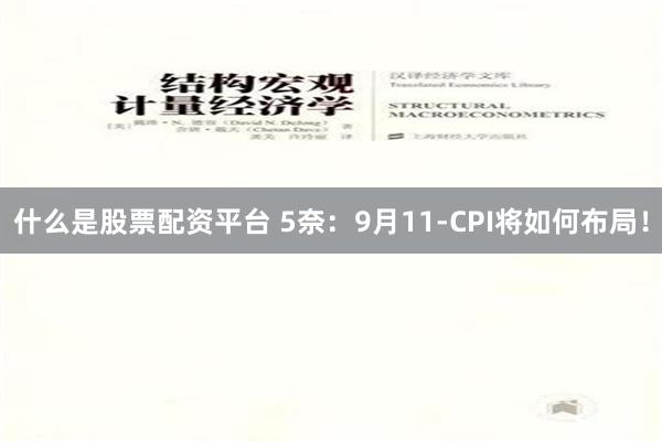 什么是股票配资平台 5奈：9月11-CPI将如何布局！