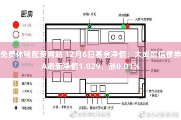 免费体验配资网站 12月6日基金净值：大成景信债券A最新净值1.029，涨0.01%