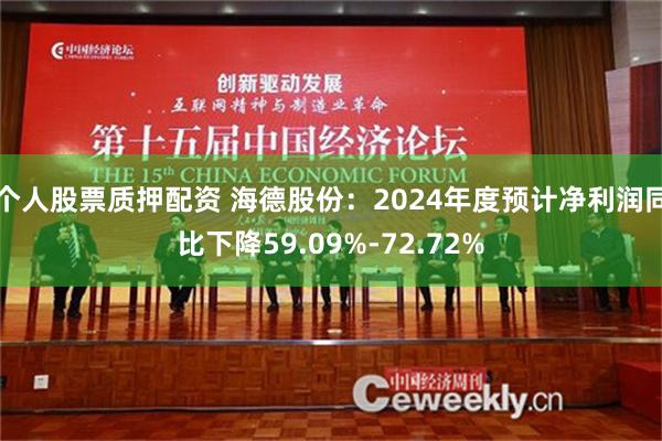 个人股票质押配资 海德股份：2024年度预计净利润同比下降59.09%-72.72%